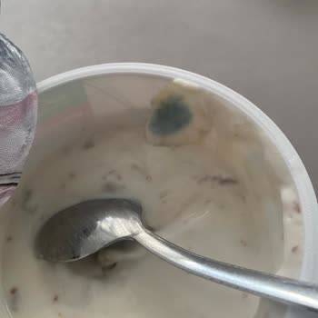 Sek Quark Küflü Yoğurt