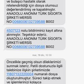 Anadolu Sigorta - Patim Güvende Sigortası