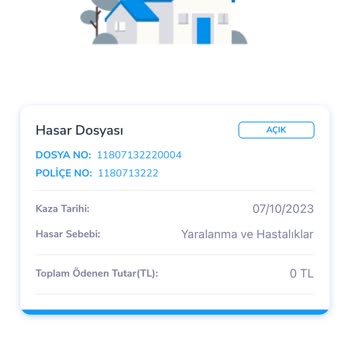Anadolu Sigorta - Patim Güvende Sigortası