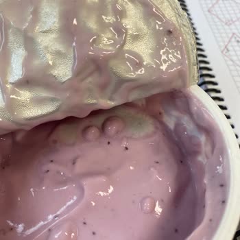 Sek Quart Orman Meyveli Yoğurt Küflü Çıktı