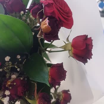 İstanbul Çiçekleri Kurumuş Çiçek Teslim Edildi