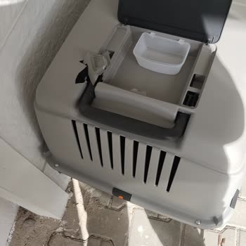 Petarastir.com Köpek Taşıma Kutusu Plastik Değil Kağıt Sanki