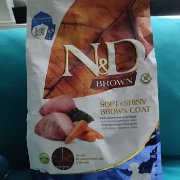 Nd Mama Köpeğimi Öldürecekti!