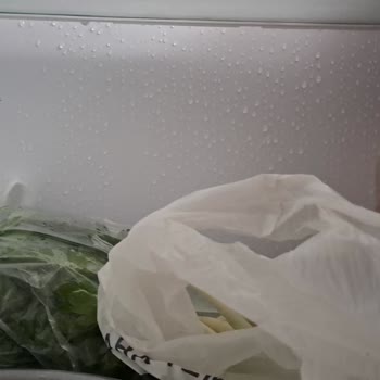 Regal Marka Buzdolabın Dan Hiç Memnun Değilim