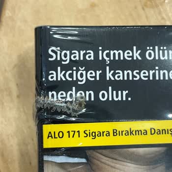Parliament Sigara Böcek