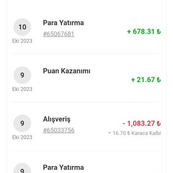 Karaca Züccaciye Sistemsel Sorunmuş
