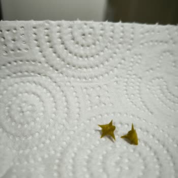 Harras Dondurulmuş Bezelye İçinden Dikenler Çıktı