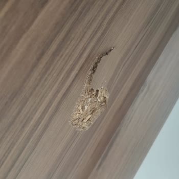 Modalife Hatalı Ürün Kurulumu