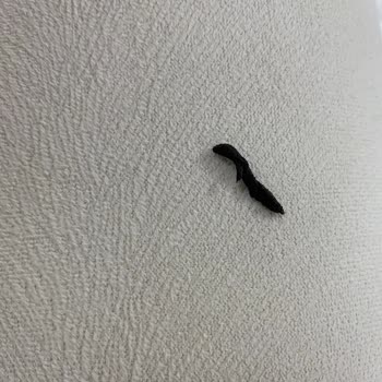 Golf Dondurma Bravo Crazy Nutty