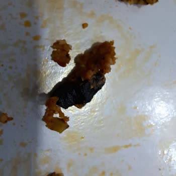 Komagene Çiğ Köfteden Çıkan Tanımlanamayan Cisim