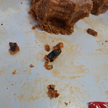 Komagene Çiğ Köfteden Çıkan Tanımlanamayan Cisim