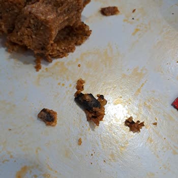 Komagene Çiğ Köfteden Çıkan Tanımlanamayan Cisim