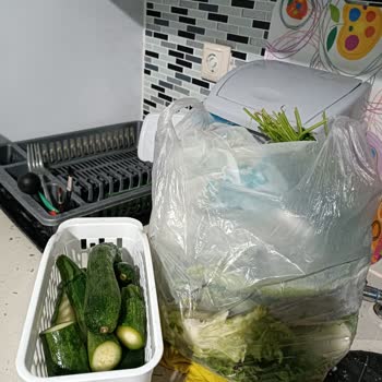 Yeni Bosch Buzdolabı Sebzelerimi Ve Diğer Ürünleri Donduruyor