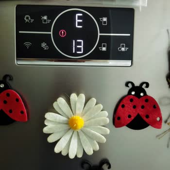 Beko Buzdolabından Çıkan Ses