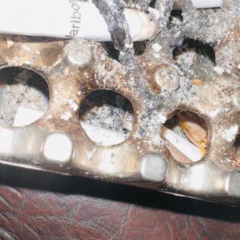 Marlboro Touch Blu İçinde Büyük Odun Parçaları!