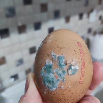 Getir Büyük Küflenmiş Yumurtası