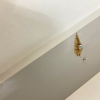 Ayaz Koltuk (İzmir) Mağdur Ediyor