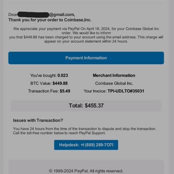 İznim Dışında PayPal Ödemesi Yapılması