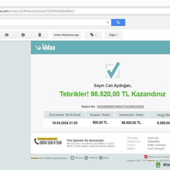 Nesine Bahis Sitesi Hayal Kırıklığı: Beklenmedik Kayıp
