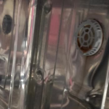 Tetanos Mu Olalım Vestel Efendi