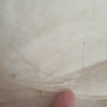 Başak Gıda Ekmecik BİM Marketten Alınan Connex Yufkadan Uzun Kadın Saçı Çıktı