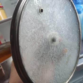 Bosch Buzdolabı Soğutucu Bölümünde Bulunan Yiyecekleri Donduruyor