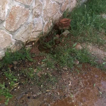 ASAT (Antalya Su İşleri) Patlak Boru Günlerdir Yapılmıyor