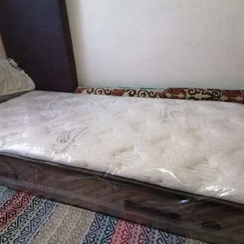 Bambi Yatakta Konforsuz Geceler