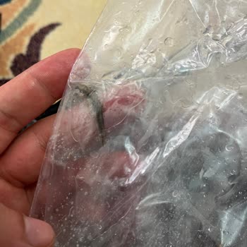 CanlıPetShop Online Petshop Hayal Kırıklığı