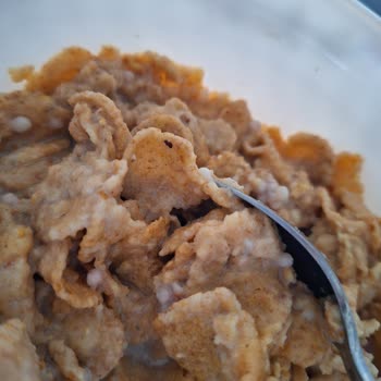 Kellogg's Kırmızı Meyveli Ürünün İçinden Böcek Çıktı