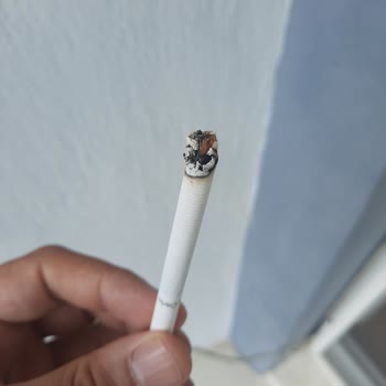 Monte Carlo Tütünde Çöp