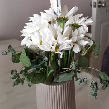 Çiçek Sepeti  Çürümüş Çiçek Gönderiyor