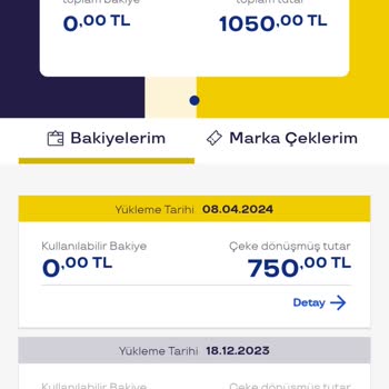 Pluxee Türkiye Bakiyemde Gözüken Çekin Kullanım Süresinin Dolması