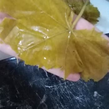 Gizemin Bahçesi Köy Ürünleri 'Gizemin Bahçesi' Satış Sayfasındaki Siparişimde Olan Mağduriyetim