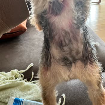 şletmeci Değiştirmiş, Kalite Kalmamış