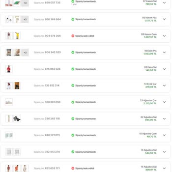 Hopi Yüklenmesi Beklenen Puanları Yüklemeden Sistemden Siliyor.