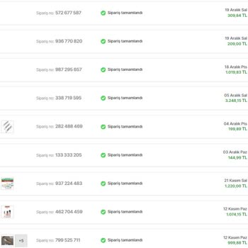Hopi Yüklenmesi Beklenen Puanları Yüklemeden Sistemden Siliyor.