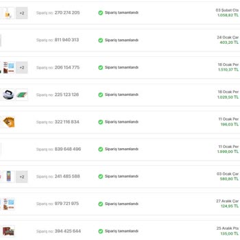 Hopi Yüklenmesi Beklenen Puanları Yüklemeden Sistemden Siliyor.