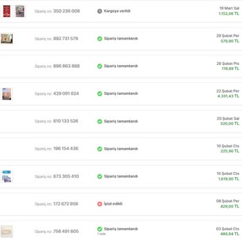 Hopi Yüklenmesi Beklenen Puanları Yüklemeden Sistemden Siliyor.