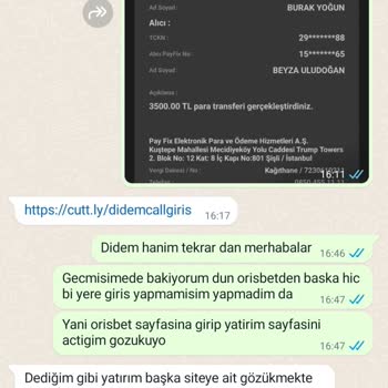Orisbet Yaptığım Yatırımı Eklemiyor