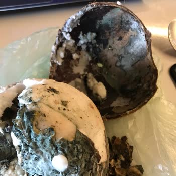 Mopaş Hipermarket Samandıra 2 Şubesi Küflenmiş Hindistan Cevizi Sattı!