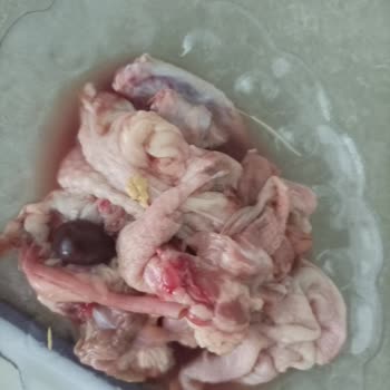 BİM Den Aldığımız Tavuk