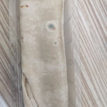 A101 Son Kullanma Tarihi Geçmemiş Ürünün Küflenmesi