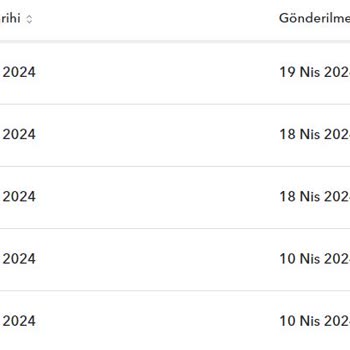 Payoneer Adres Doğrulama Sorunu