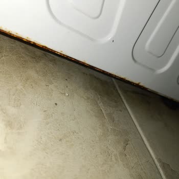 Vestel Çamaşır Makinesi Çürüyüp Paslanıyor