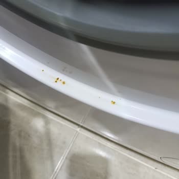 Vestel Çamaşır Makinesi Çürüyüp Paslanıyor