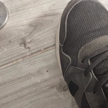 Jump 27489 Spor Ayakkabı