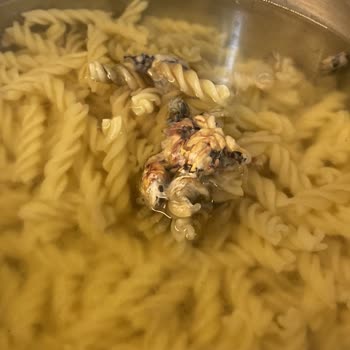 Oba Makarna Makarnada Beklenmedik Sürpriz!