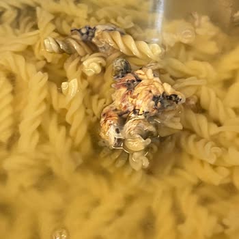 Oba Makarna Makarnada Beklenmedik Sürpriz!