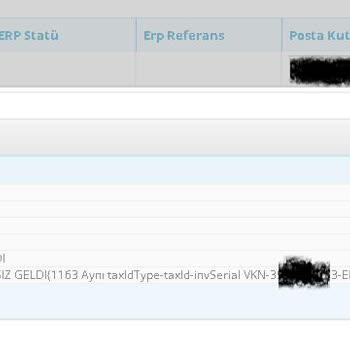 EDM Bilişim 3 Gündür Fatura Gönderilemeyen Portal